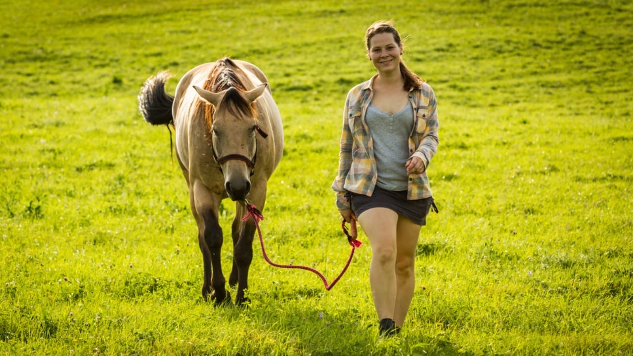 15 Horse Terms to Know Before Grabbing the Reins for the First Time 8 15 Horse Terms to Know Before Grabbing the Reins for the First Time - lead horse dp143920479