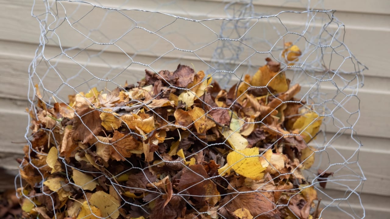 13 Simple Leaf-Recycling Ideas for a Flourishing Garden 14 13 Simple Leaf-Recycling Ideas for a Flourishing Garden - leaf bin storage ss1857126580