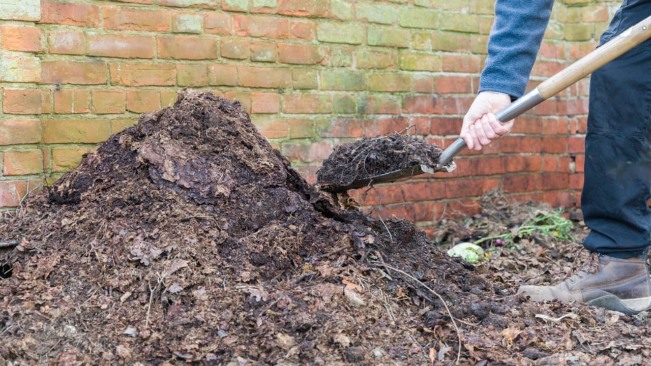13 Simple Leaf-Recycling Ideas for a Flourishing Garden 5 13 Simple Leaf-Recycling Ideas for a Flourishing Garden - leaf mould ss1693569223