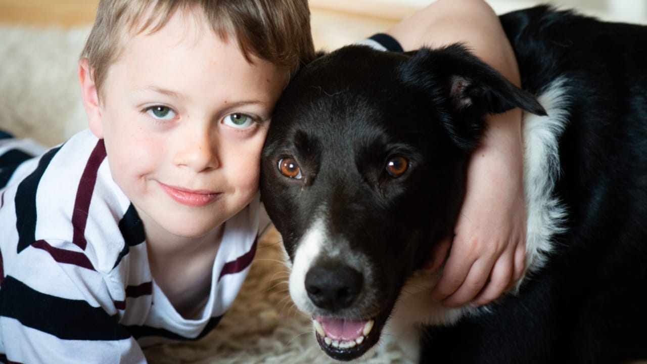 Researchers Gave LSD to Dogs & Paired Them with Humans—The Results Were Magical 4 Researchers Gave LSD to Dogs & Paired Them with Humans—The Results Were Magical - little boy with autism and dog ss1222076266