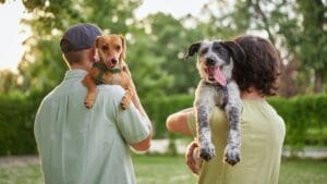 The Dog Breeds Each Generation Prefers: Gen Z, Millennials, Gen X, and Boomers 1 The Dog Breeds Each Generation Prefers: Gen Z, Millennials, Gen X, and Boomers - man and woman carrying dogs ss2438627073