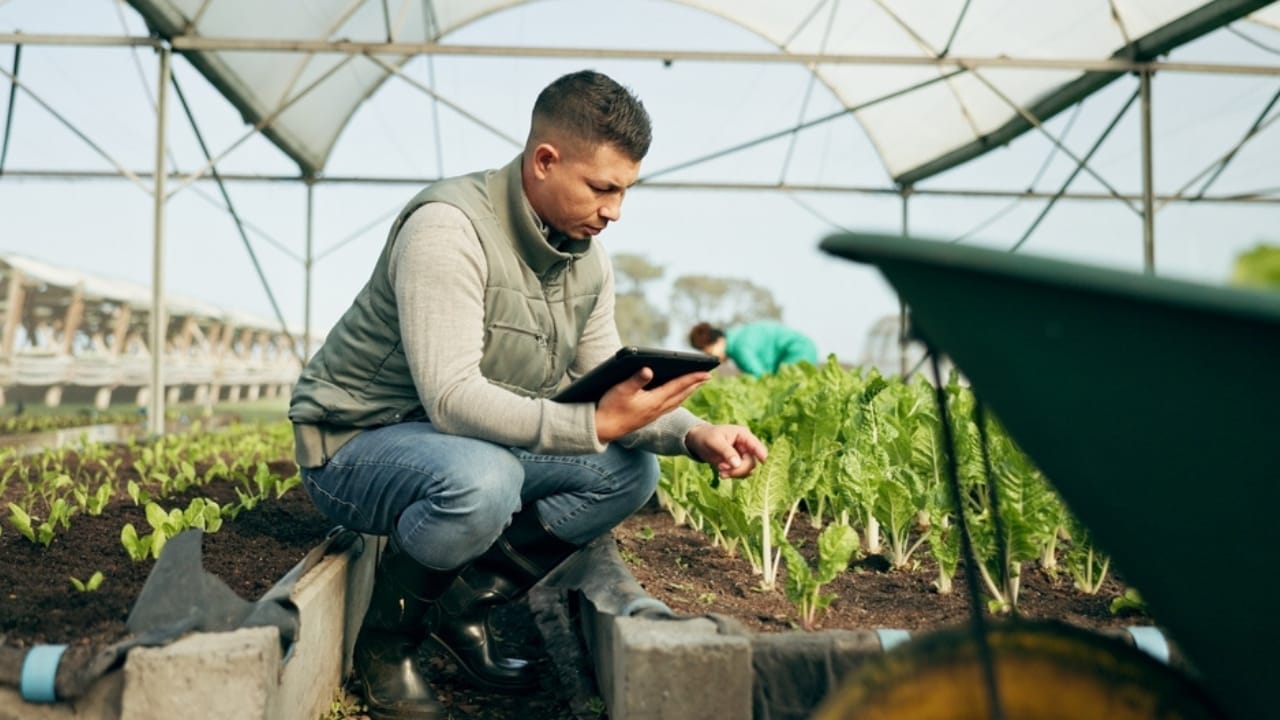 15 Ways to Get Your Garden Frost-Ready Before It’s Too Late 16 15 Ways to Get Your Garden Frost-Ready Before It’s Too Late - man in garden ss2383287051