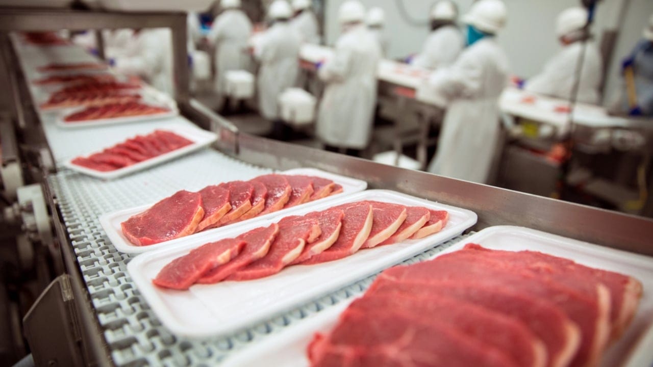 Lab-Grown Meat Hits Farms, Transforming How We Make Food 3 Lab-Grown Meat Hits Farms, Transforming How We Make Food - meat production dp78184714 dnoh