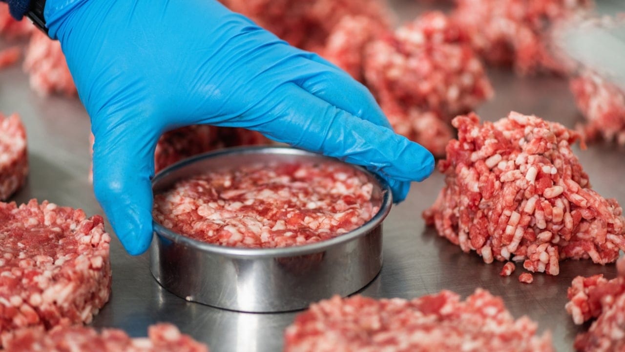 Lab-Grown Meat Hits Farms, Transforming How We Make Food 4 Lab-Grown Meat Hits Farms, Transforming How We Make Food - meat burger dp646244244 dnoh