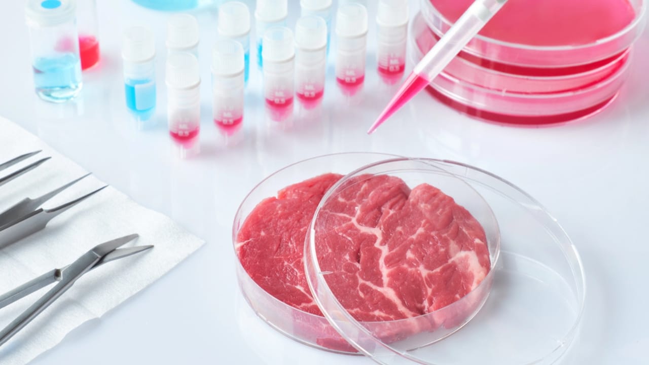 Lab-Grown Meat Hits Farms, Transforming How We Make Food 5 Lab-Grown Meat Hits Farms, Transforming How We Make Food - meat with solution dp323020450 dnoh