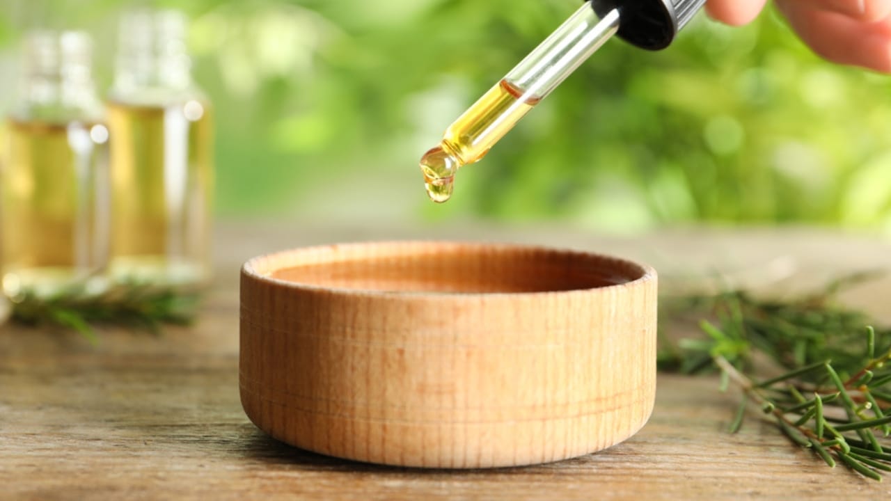 15 Everyday Smells That Dogs Wish Would Go Away 15 15 Everyday Smells That Dogs Wish Would Go Away - melaleuca oil or tea tree oil ss1419321053