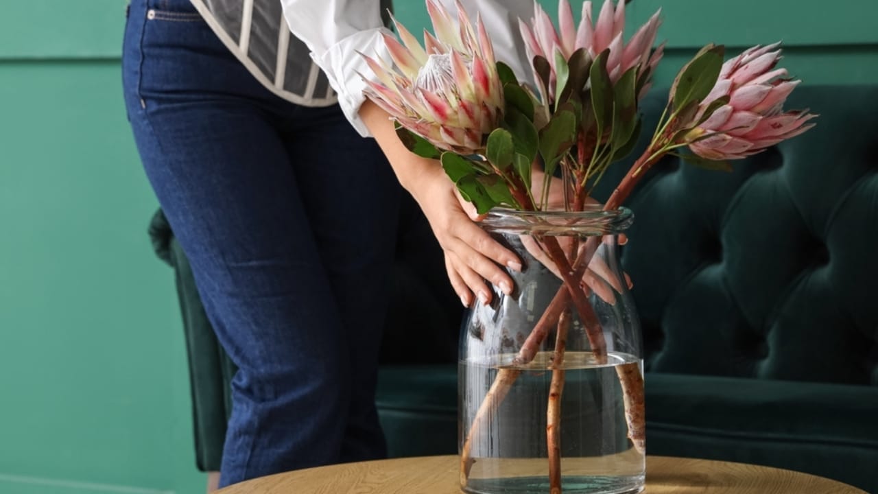 Nature's Crown Jewel: Why Florists & Designers are Falling for Protea Flowers 6 Nature's Crown Jewel: Why Florists & Designers are Falling for Protea Flowers - protea flowers in vase ss2437547997
