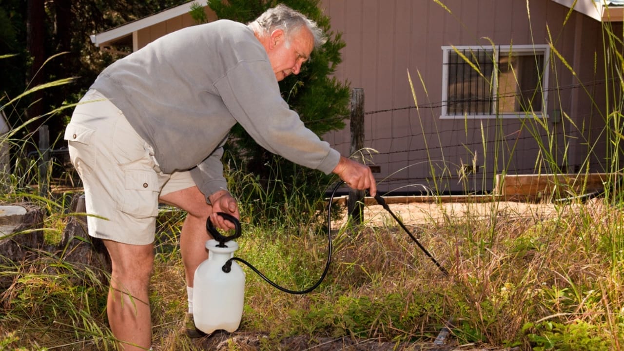 Keep Your Gravel Weed-Free: 10 Simple Weed Removal Techniques 3 Keep Your Gravel Weed-Free: 10 Simple Weed Removal Techniques - senior spraying in garden dp3455883