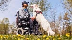 Service Dogs in Action: 14 Facts About Their Life-Transforming Abilities 1 Service Dogs in Action: 14 Facts About Their Life-Transforming Abilities - service dog ss2452776583