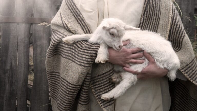 16 Animals the Bible Associates with Evil & Their Meanings 10 16 Animals the Bible Associates with Evil & Their Meanings - small cute baby cattle herd pet ss2316221481