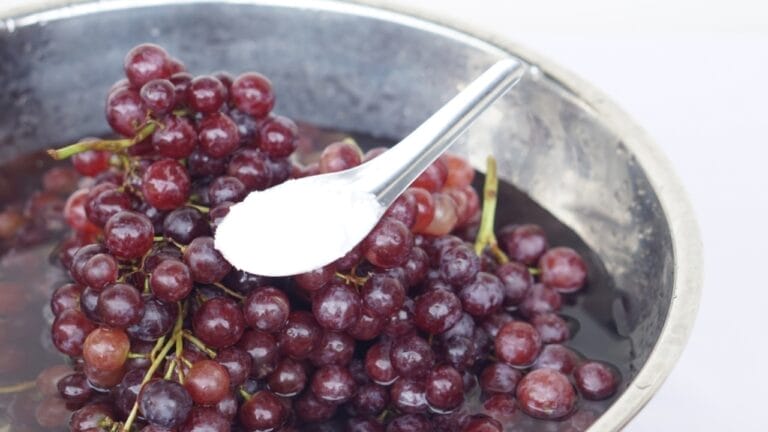 The Baking Soda Trick for Pesticide-Free Grapes - 10 Step Guide 8 The Baking Soda Trick for Pesticide-Free Grapes - 10 Step Guide - soak grapes in baking soda ss2368590915