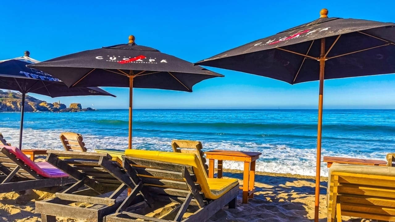 16 Unexpected Places to Find Water in an Emergency 15 16 Unexpected Places to Find Water in an Emergency - umbrella collector ss2496178365