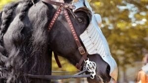 15 Legendary Horse Breeds That Braved the Battlefields of War 1 15 Legendary Horse Breeds That Braved the Battlefields of War - war horse ss2479840485