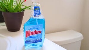 15 Things You Should Never Clean with Windex—and Why 1 15 Things You Should Never Clean with Windex—and Why - windex bathroom s2036185922 degm