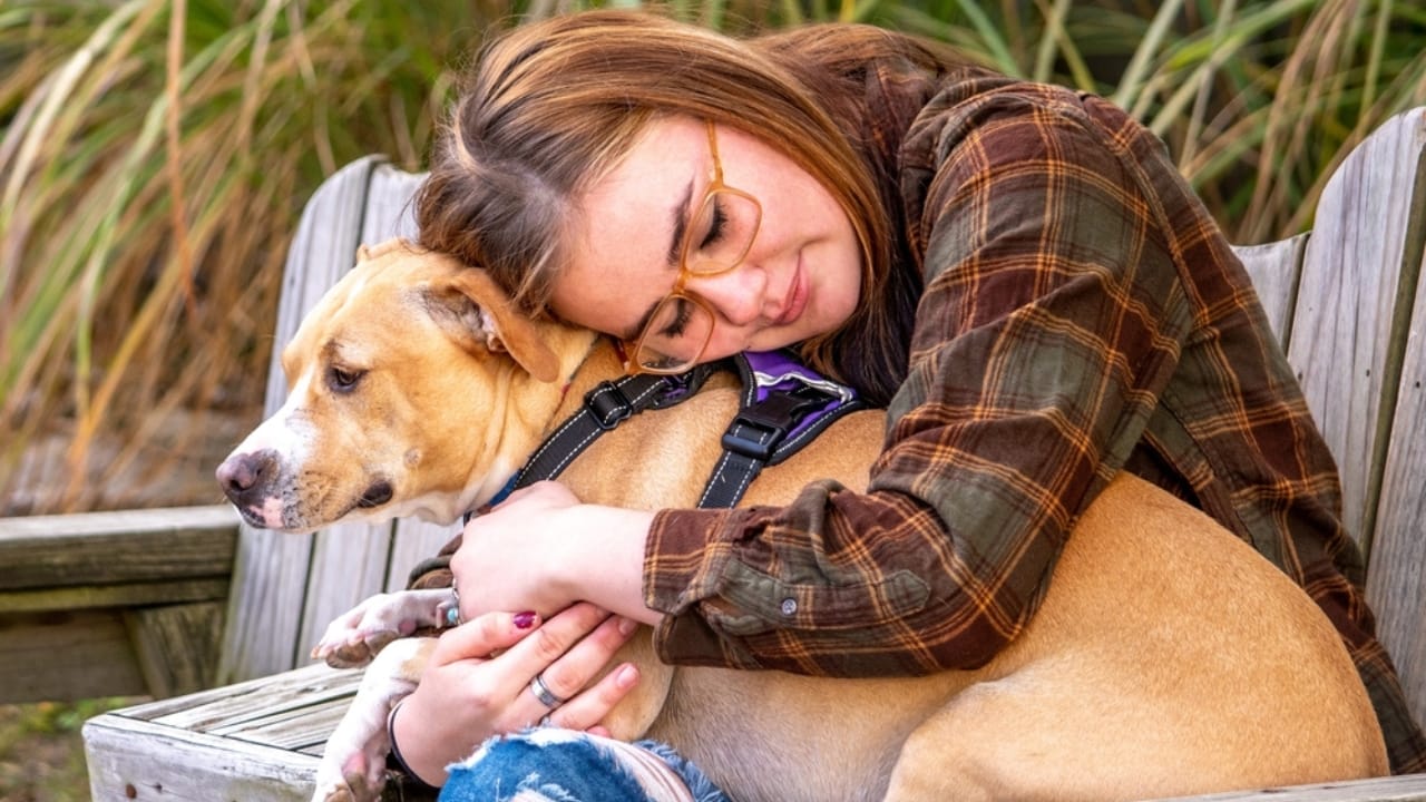Why We Feel So Connected to Dogs: A Look at the Science of Human-Canine Relationships - woman hugging guide dog ss2233508129