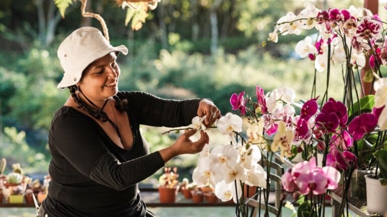 The Easy Way to Propagate Orchids & Grow Your Collection 9 The Easy Way to Propagate Orchids & Grow Your Collection - woman taking care of orchid plants in greenhouse ss2132436077
