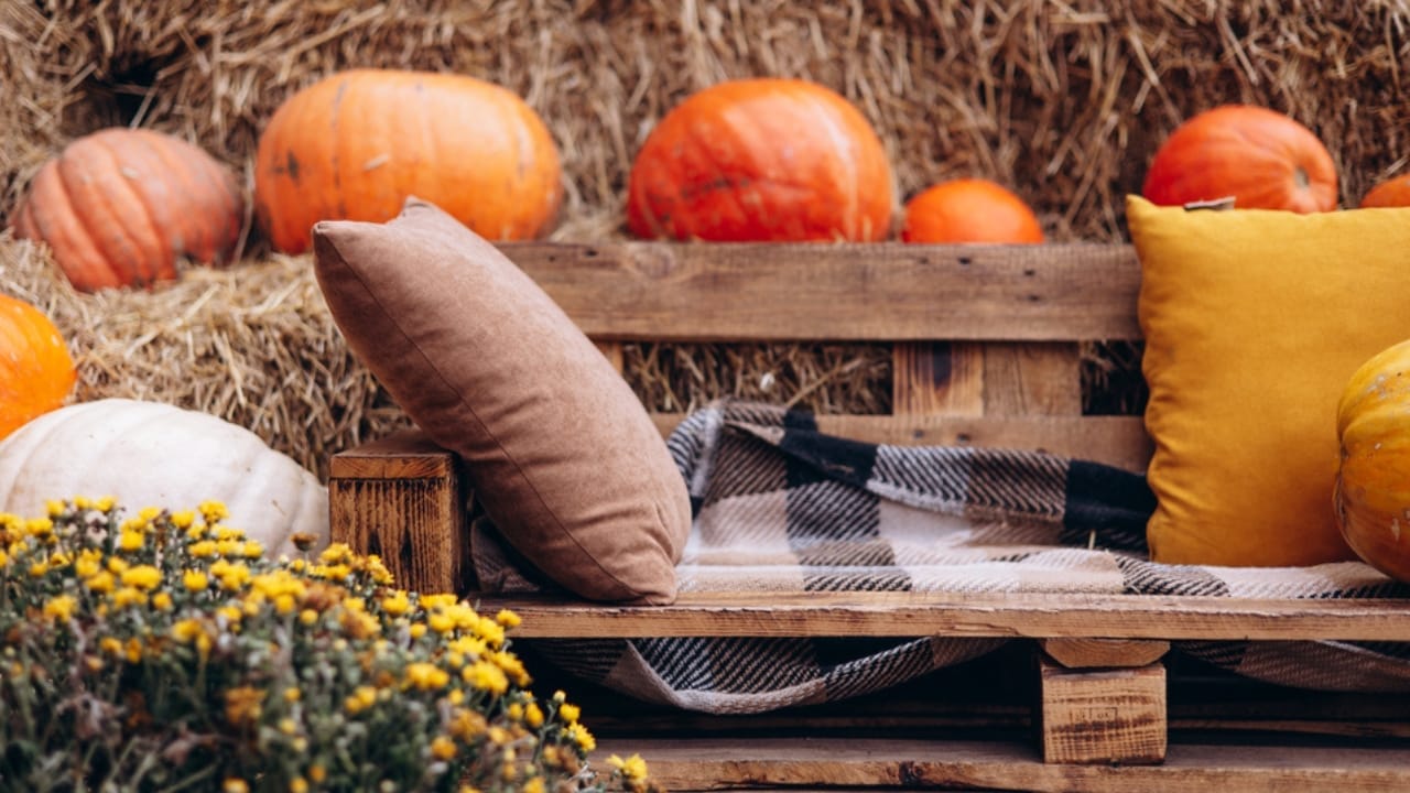 Fall Decor on a Budget: 18 Creative Ways to Keep Your Space Warm & Inviting 18 Fall Decor on a Budget: 18 Creative Ways to Keep Your Space Warm & Inviting - wooden bench with fall themed pillows and pumpkins dp688444064