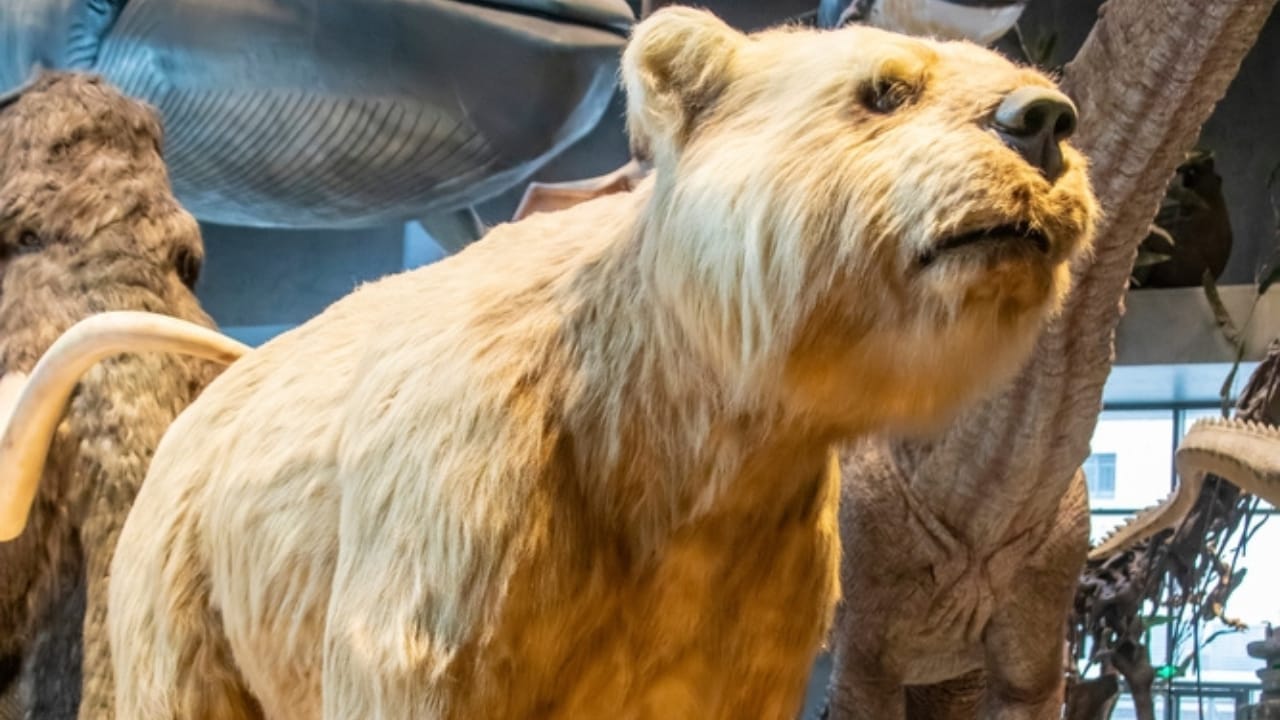 14 Ancient Beasts That Would Make T-Rex Look Tame 2 14 Ancient Beasts That Would Make T-Rex Look Tame - Arctodus ss2480178583