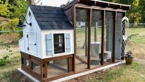 Don’t Build a Chicken Coop Without These 14 Must-Haves 1 Don’t Build a Chicken Coop Without These 14 Must-Haves - Backyard chicken coop for small flock ss2201444121 degm