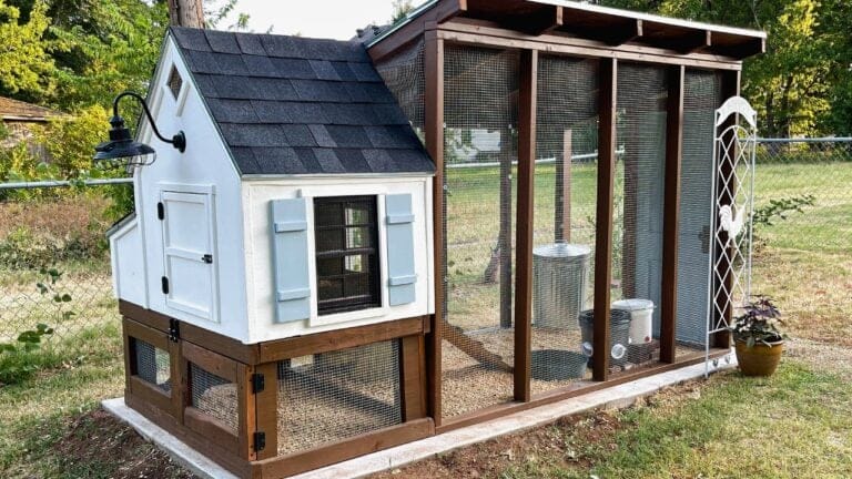 Don’t Build a Chicken Coop Without These 14 Must-Haves 5 Don’t Build a Chicken Coop Without These 14 Must-Haves - Backyard chicken coop for small flock ss2201444121 degm