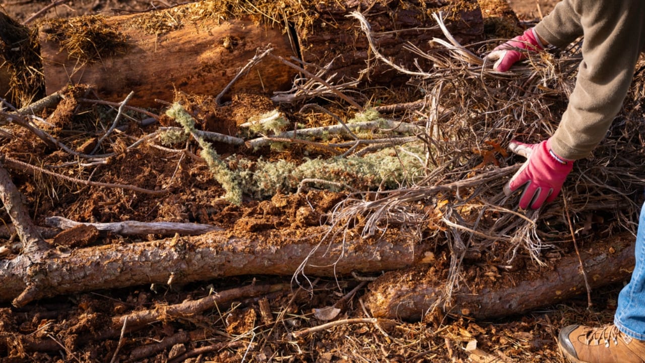 Turn Yard Waste into a Thriving Garden with Hugelkultur 3 Turn Yard Waste into a Thriving Garden with Hugelkultur - Building Permaculture Hill Mound hugelkultur ss1857902296