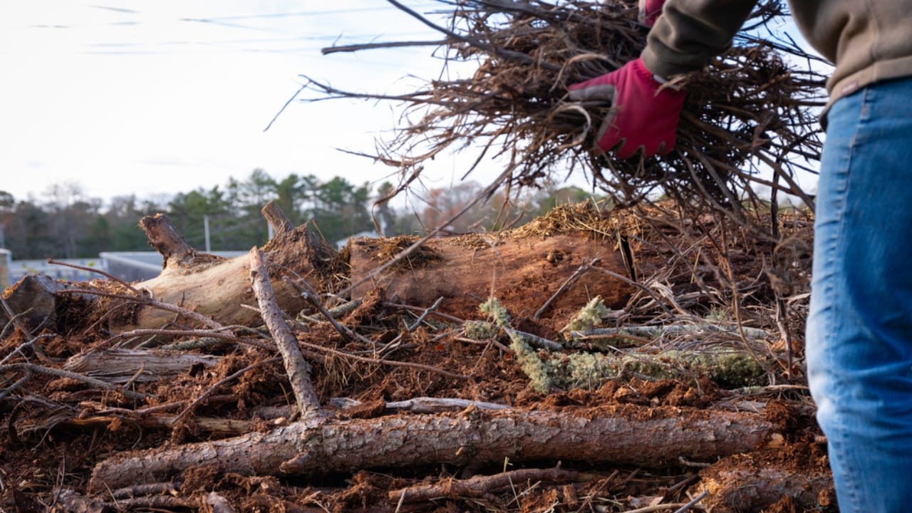 Turn Yard Waste into a Thriving Garden with Hugelkultur 4 Turn Yard Waste into a Thriving Garden with Hugelkultur - Building Permaculture Sustainable hugelkultur ss1857902278