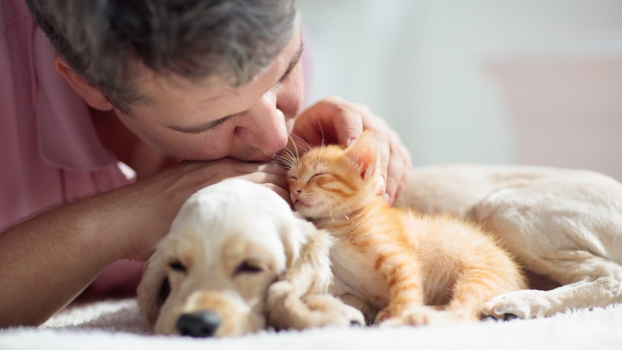 Cats Aren’t Just Cute—Here Are 20 Life-Changing Benefits - Cat and dog sleeping ss1485038399