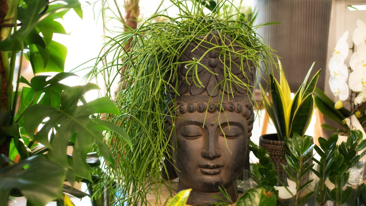 18 Fresh Patio Design Ideas to Elevate Your Outdoor Space in 2024 12 18 Fresh Patio Design Ideas to Elevate Your Outdoor Space in 2024 - Ceramic Flower pot buddha head dp563238220