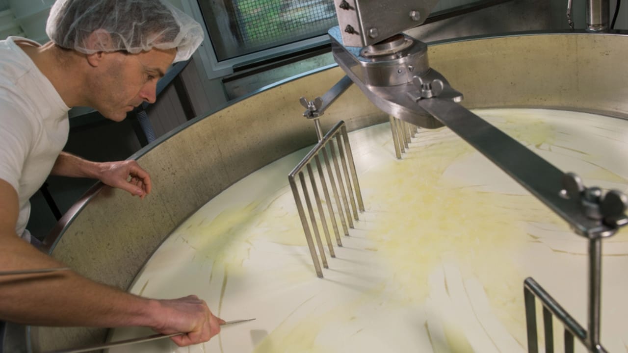 21 Lost Pioneer Skills That Few People Know Today - Cheese Making dp103981638