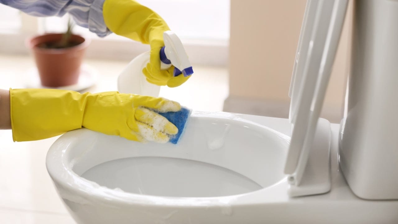 14 Natural Homemade Cleaners You Can Trust for a Chemical-Free Clean - Cleaning toilet bowl dp357069032