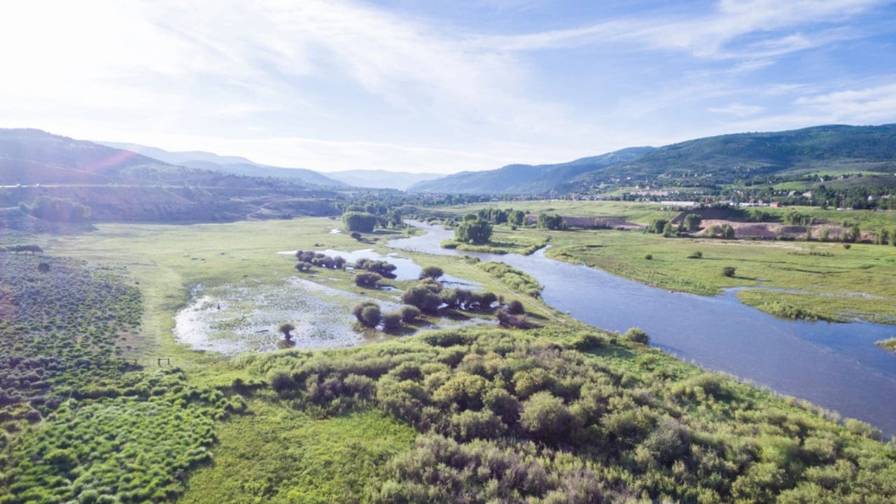 The 10 Most Snake-Heavy Rivers in America —Proceed with Caution - Colorado River dp76599539