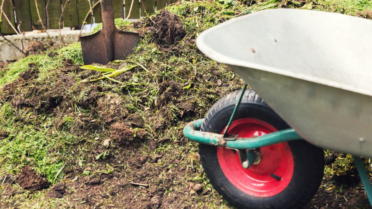 Stop Tossing Those Pistachio Shells... Here's What to Do Instead 9 Stop Tossing Those Pistachio Shells... Here's What to Do Instead - Compost garden plant fertilizer dp154405008
