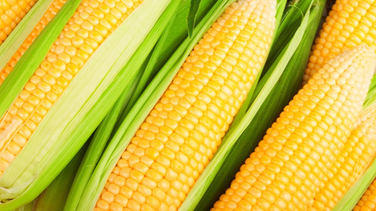 10 Veggies That are Actually Healthier Frozen Than Fresh 11 10 Veggies That are Actually Healthier Frozen Than Fresh - Corn on the Cob dp11972066