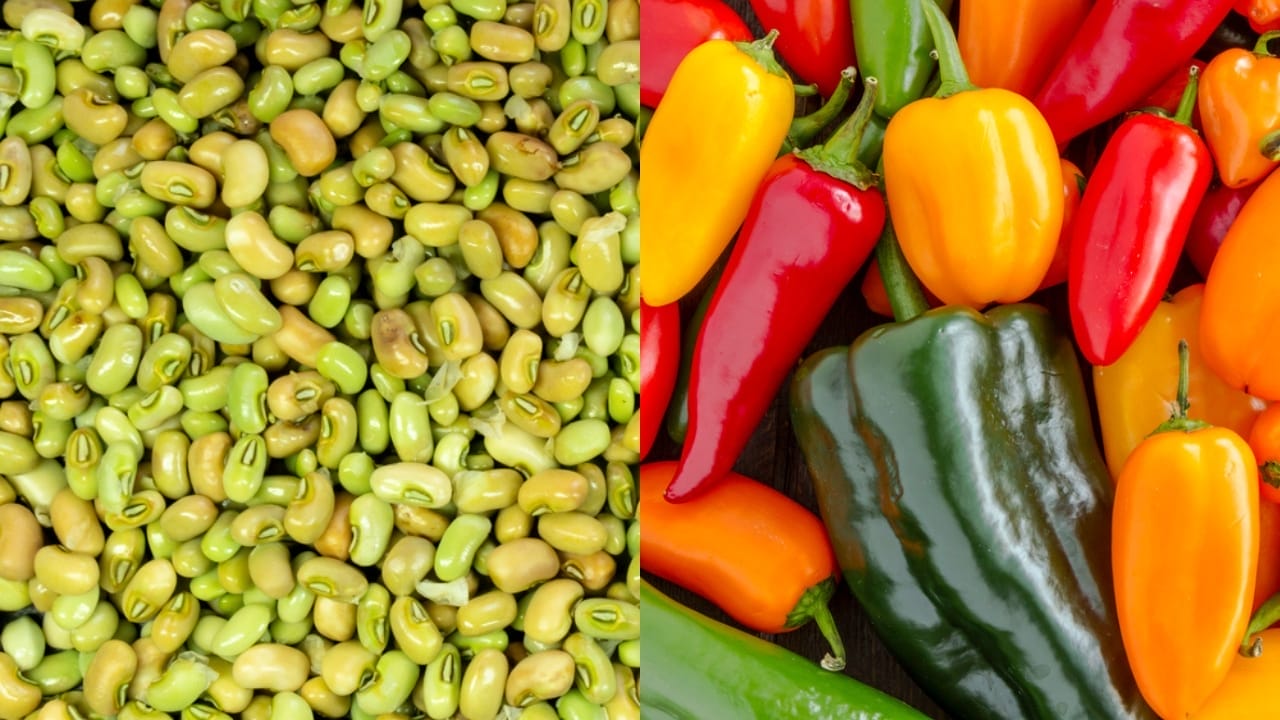 Weed Control the Natural Way: 5 Companion Plant Pairs Every Gardener Should Try 6 Weed Control the Natural Way: 5 Companion Plant Pairs Every Gardener Should Try - Cowpeas dp479854958 Peppers dp72718743