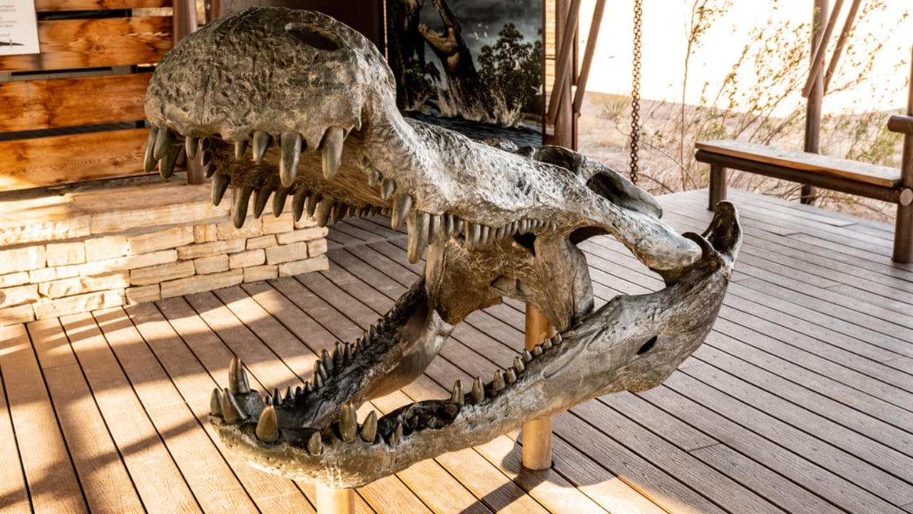 14 Ancient Beasts That Would Make T-Rex Look Tame 6 14 Ancient Beasts That Would Make T-Rex Look Tame - Deinosuchus ss2024920493