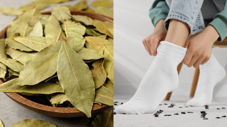 8 Ways a Bay Leaf in Your Socks Can Boost Your Day - Dried Bay Leaves ss2031226409 Woman Putting Socks ss2313057617