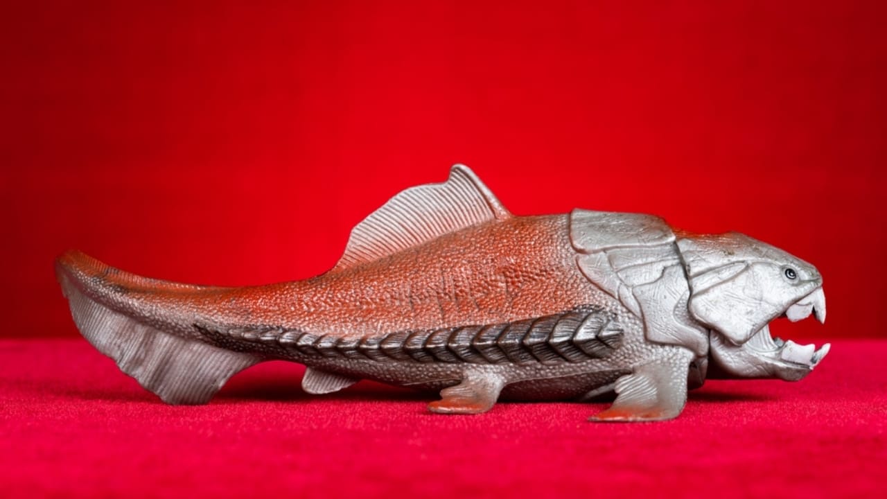 14 Ancient Beasts That Would Make T-Rex Look Tame 5 14 Ancient Beasts That Would Make T-Rex Look Tame - Dunkleosteus ss2247644707