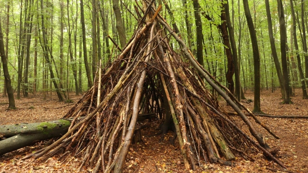 20 Skills Everyone Should Master in Uncertain Times 6 20 Skills Everyone Should Master in Uncertain Times - Emergency Shelter ss2039501699