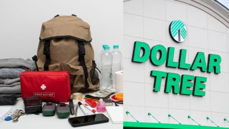 Emergency Prep on a Budget: 15 Smart Finds from Dollar Tree - Emergency backpack First Aid kit Survival kit ss2180383547 Dollar Tree trademark logo ss2375309203