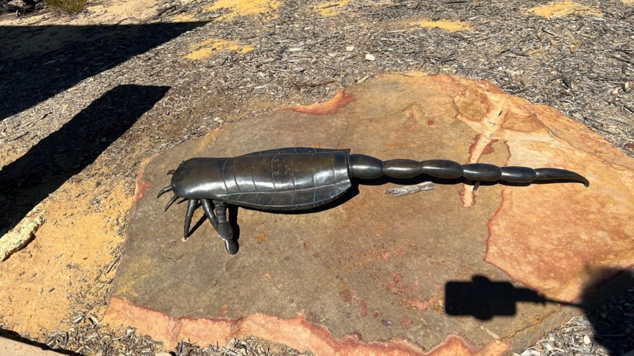 14 Ancient Beasts That Would Make T-Rex Look Tame 7 14 Ancient Beasts That Would Make T-Rex Look Tame - Eurypterids ss2304237217