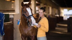10 Horse Breeds Blending Strength with Surprising Intelligence 1 10 Horse Breeds Blending Strength with Surprising Intelligence - Female jockey using smart phone while standing by horse ss695714899 degm
