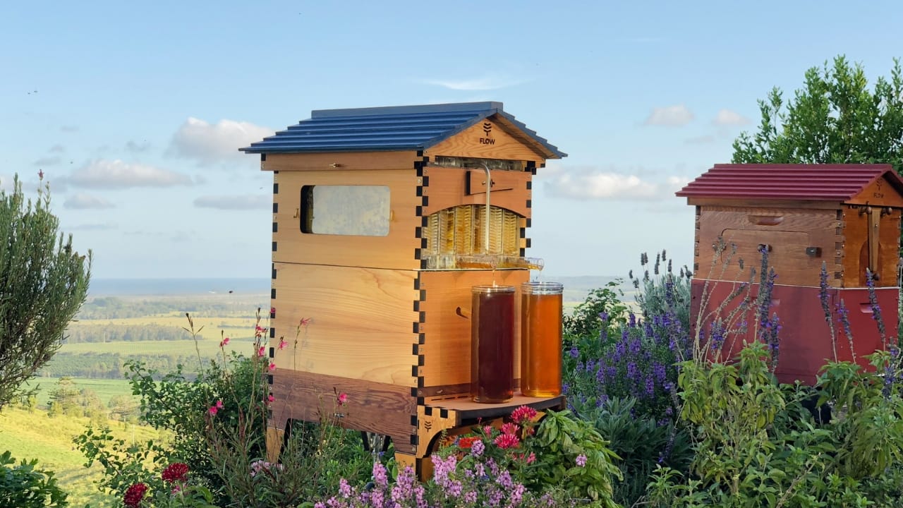 Bee-Ready: 15 Tips Every New Beekeeper Should Know 6 Bee-Ready: 15 Tips Every New Beekeeper Should Know - Flow Hive wc