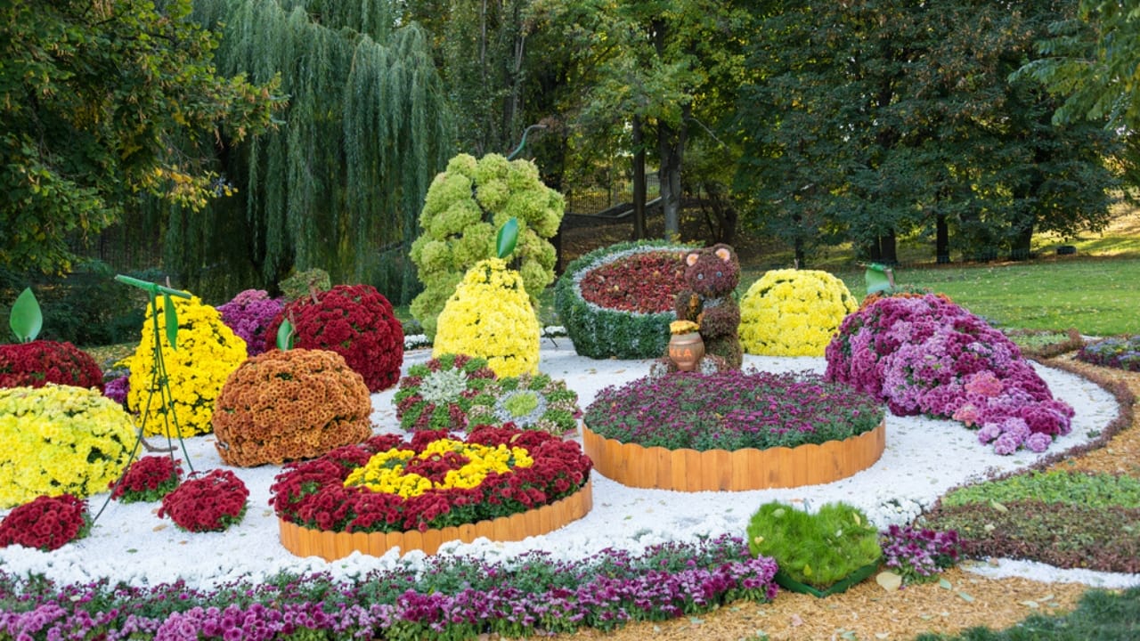 Front Yard Upgrades: 25 Simple Landscaping Ideas That Add Value - Flower beds in a shape dp68451541