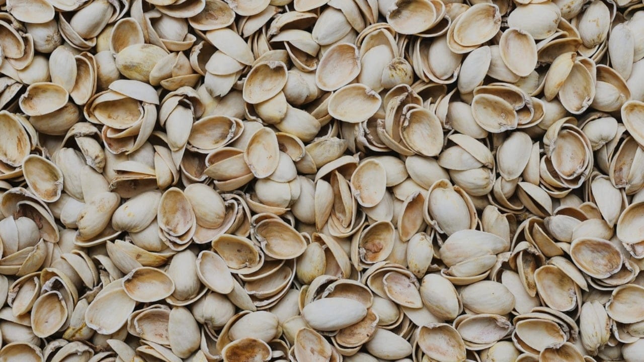 Stop Tossing Those Pistachio Shells... Here's What to Do Instead 5 Stop Tossing Those Pistachio Shells... Here's What to Do Instead - Image of pistachio nut shells ss2521590779