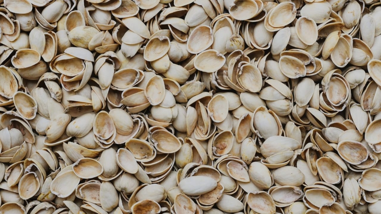 Stop Tossing Those Pistachio Shells... Here's What to Do Instead - Image of pistachio nut shells ss2521590779