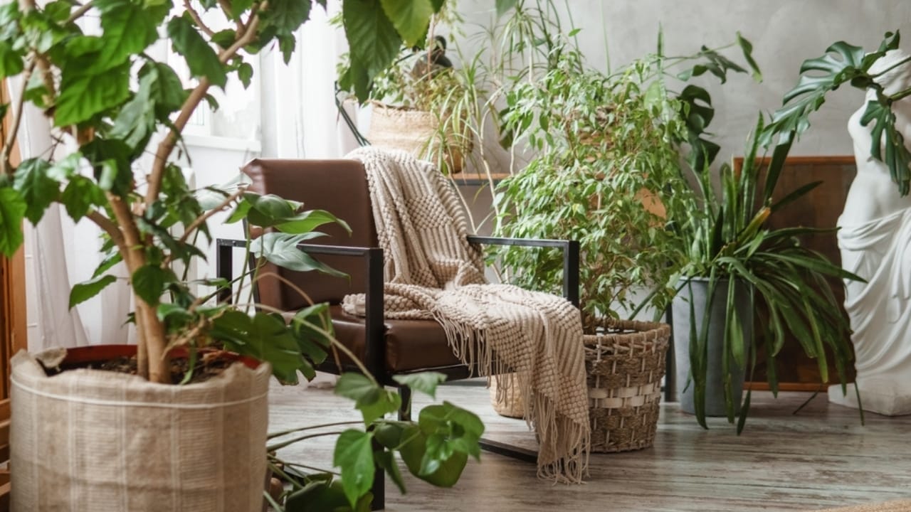 15 Design Mistakes That Could Be Making You Miserable at Home 13 15 Design Mistakes That Could Be Making You Miserable at Home - Indoor plants ss2497367349