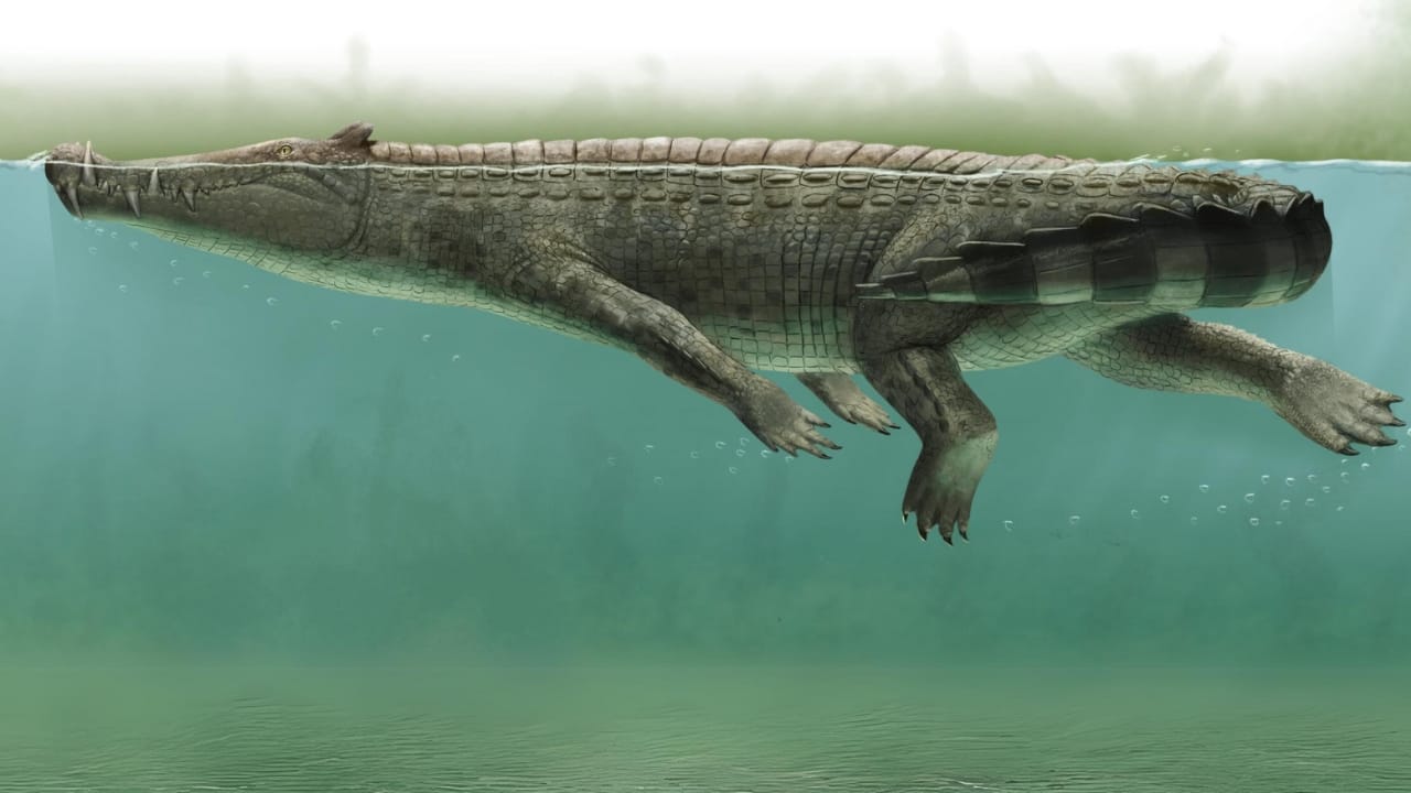 14 Ancient Beasts That Would Make T-Rex Look Tame 11 14 Ancient Beasts That Would Make T-Rex Look Tame - Kaprosuchus wc