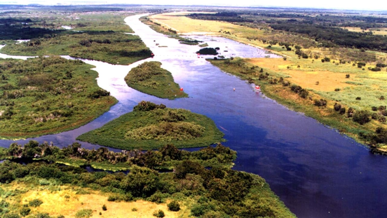 The 10 Most Snake-Heavy Rivers in America —Proceed with Caution - Kissimmee River wc