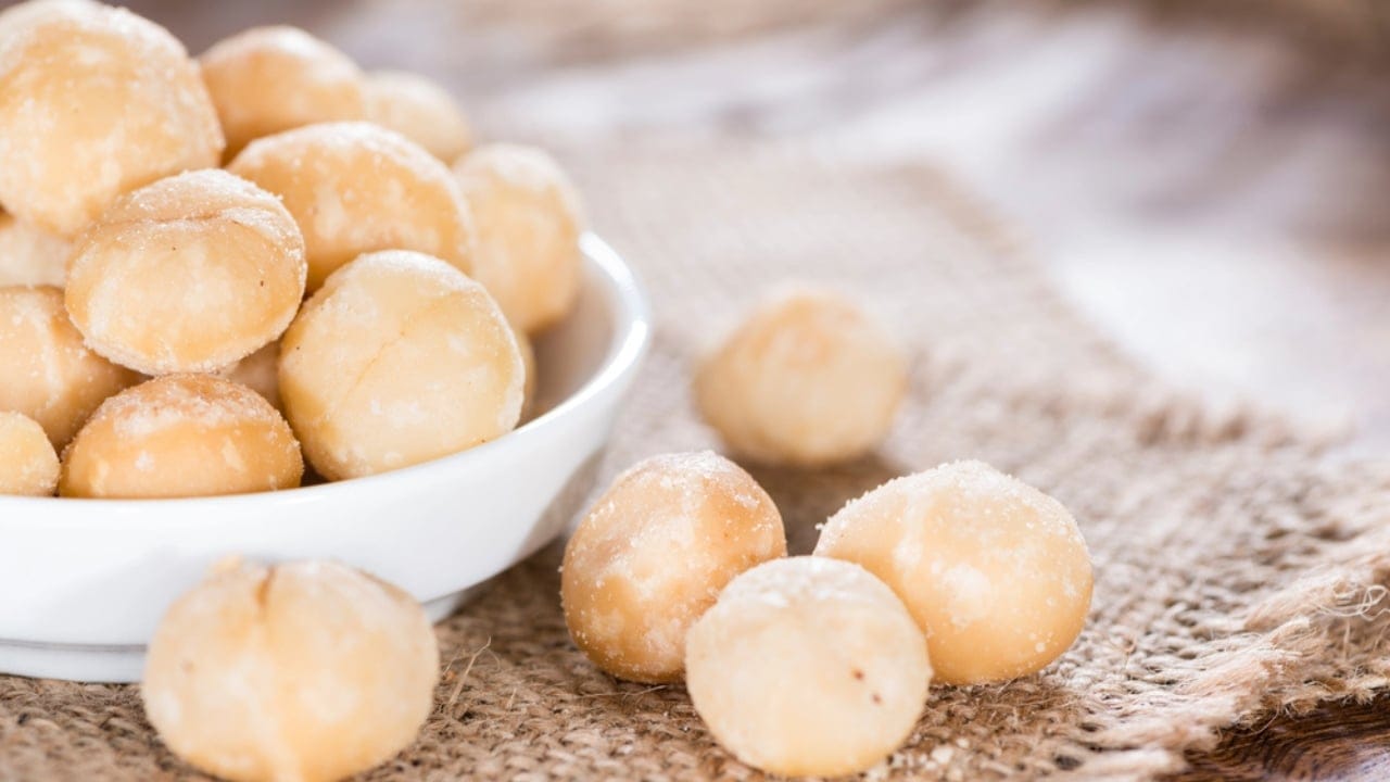 16 Foods That Can Harm or Kill Your Cat—Keep Them Away 13 16 Foods That Can Harm or Kill Your Cat—Keep Them Away - Macadamia nuts dp72761465