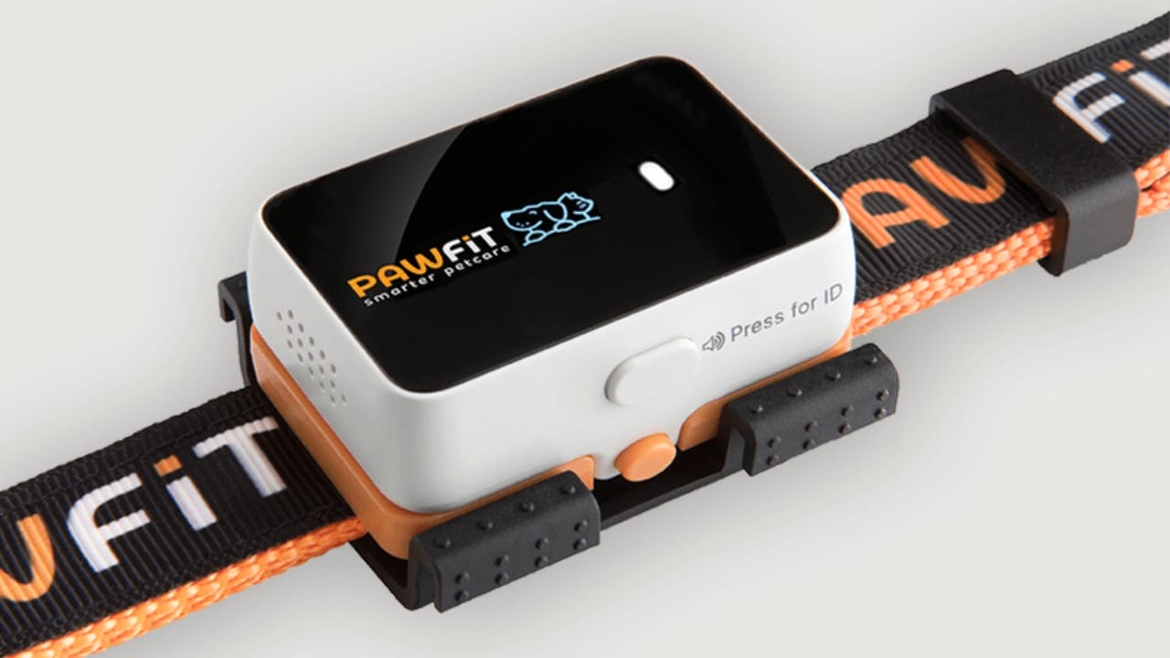 17 Apps Every Pet Owner Should Download Right Now 3 17 Apps Every Pet Owner Should Download Right Now - Pawfit 3 GPS Tracker